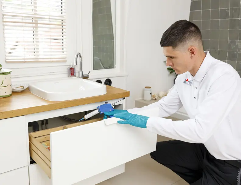 Technicien traitement cafards