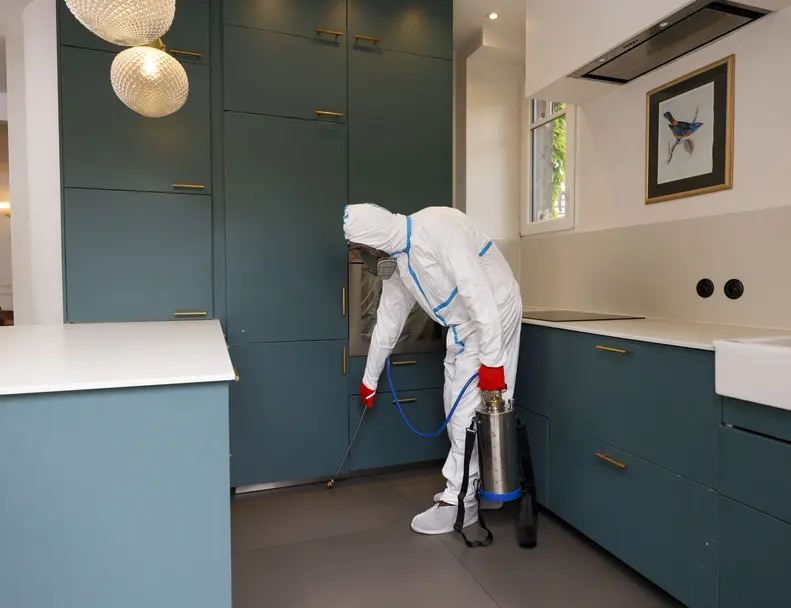 Technicien traite les mites